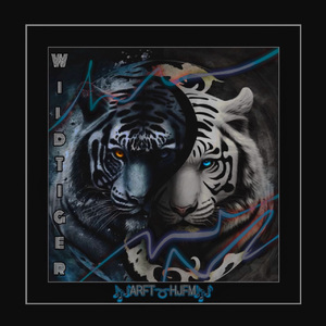 女主播直播引诱技师小伙
