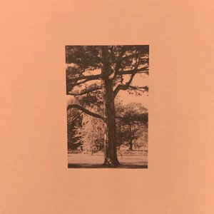 女主播直播引诱技师小伙
